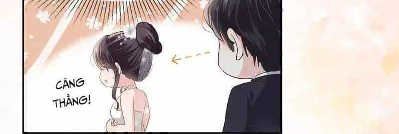 Trọng Sinh Trở Lại: Sủng Nịch Độc Nhất Vô Nhị - Chương 219 - ảnh 13