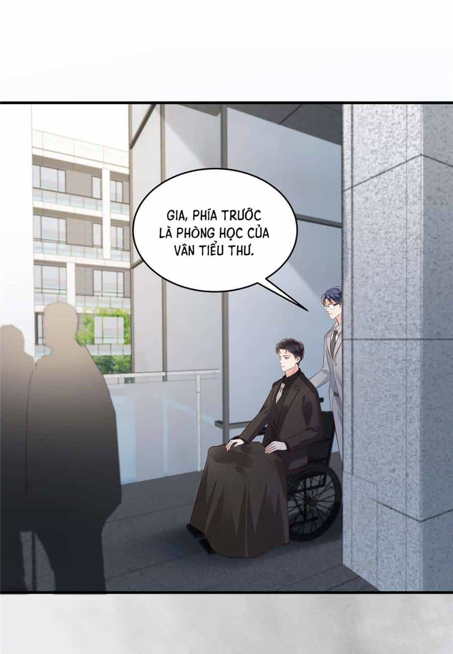 Trọng Sinh Trở Lại: Sủng Nịch Độc Nhất Vô Nhị - Chương 230 - ảnh 8