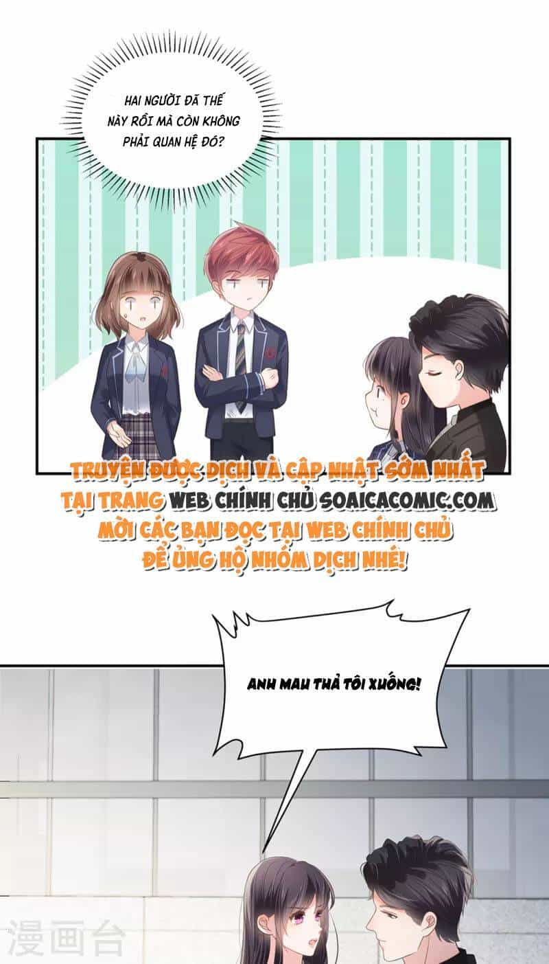 Trọng Sinh Trở Lại: Sủng Nịch Độc Nhất Vô Nhị - Chương 233 - ảnh 4