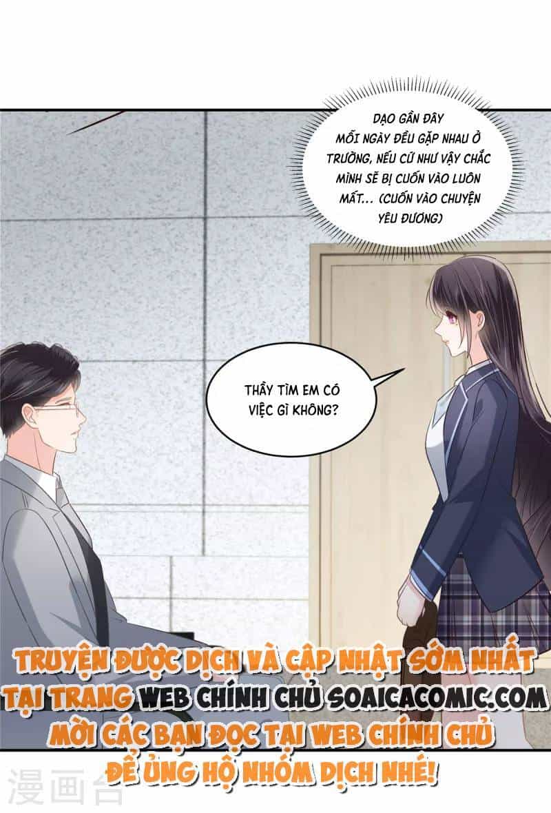 Trọng Sinh Trở Lại: Sủng Nịch Độc Nhất Vô Nhị - Chương 248 - ảnh 4