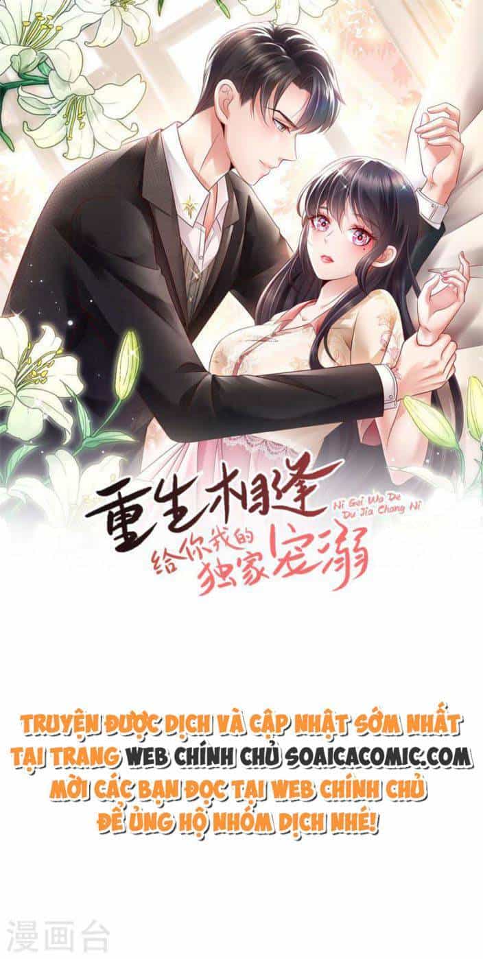 Trọng Sinh Trở Lại: Sủng Nịch Độc Nhất Vô Nhị - Chương 252 - ảnh 1
