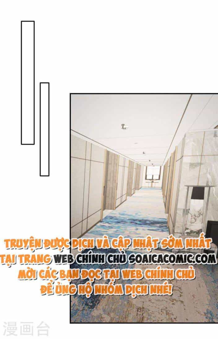 Trọng Sinh Trở Lại: Sủng Nịch Độc Nhất Vô Nhị - Chương 252 - ảnh 2