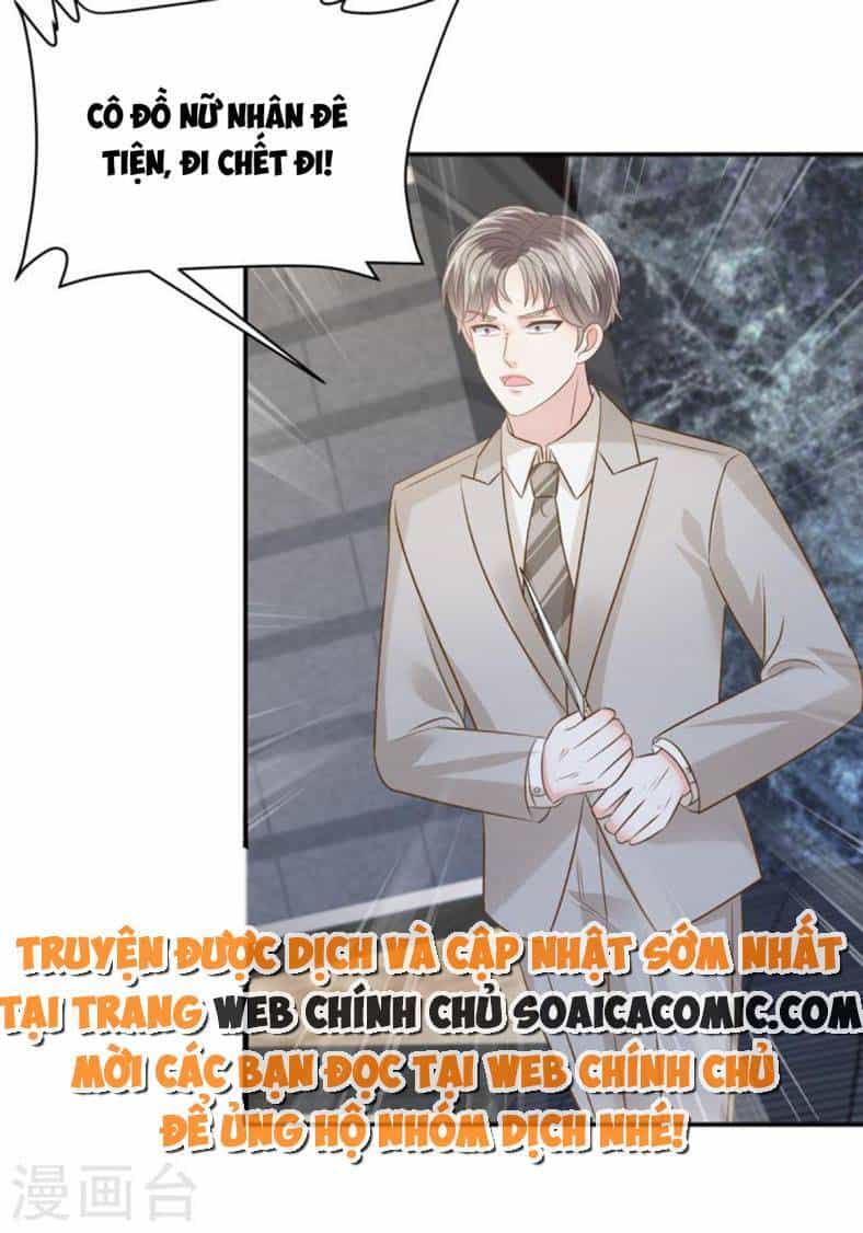 Trọng Sinh Trở Lại: Sủng Nịch Độc Nhất Vô Nhị - Chương 255 - ảnh 10