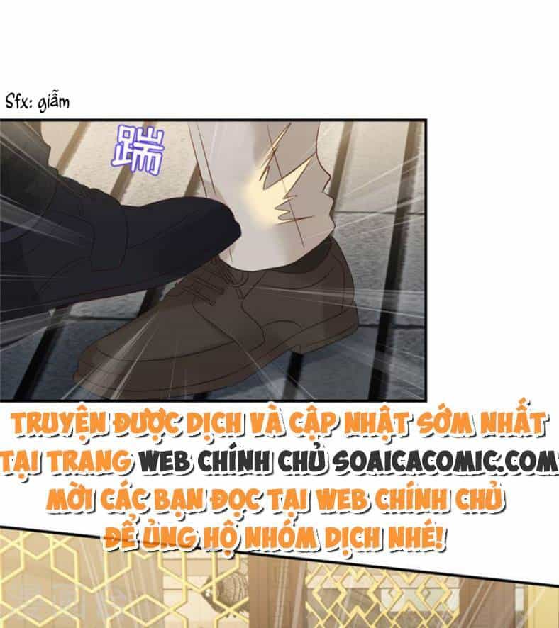 Trọng Sinh Trở Lại: Sủng Nịch Độc Nhất Vô Nhị - Chương 255 - ảnh 12