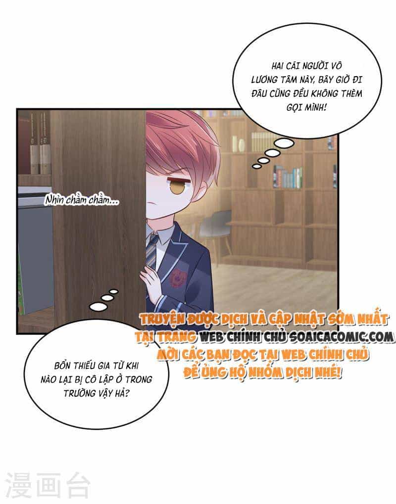 Trọng Sinh Trở Lại: Sủng Nịch Độc Nhất Vô Nhị - Chương 256 - ảnh 12
