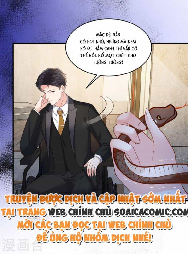 Trọng Sinh Trở Lại: Sủng Nịch Độc Nhất Vô Nhị - Chương 265 - ảnh 13