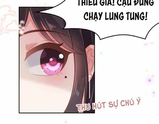 Trọng Sinh Trở Lại: Sủng Nịch Độc Nhất Vô Nhị - Chương 85 - ảnh 8