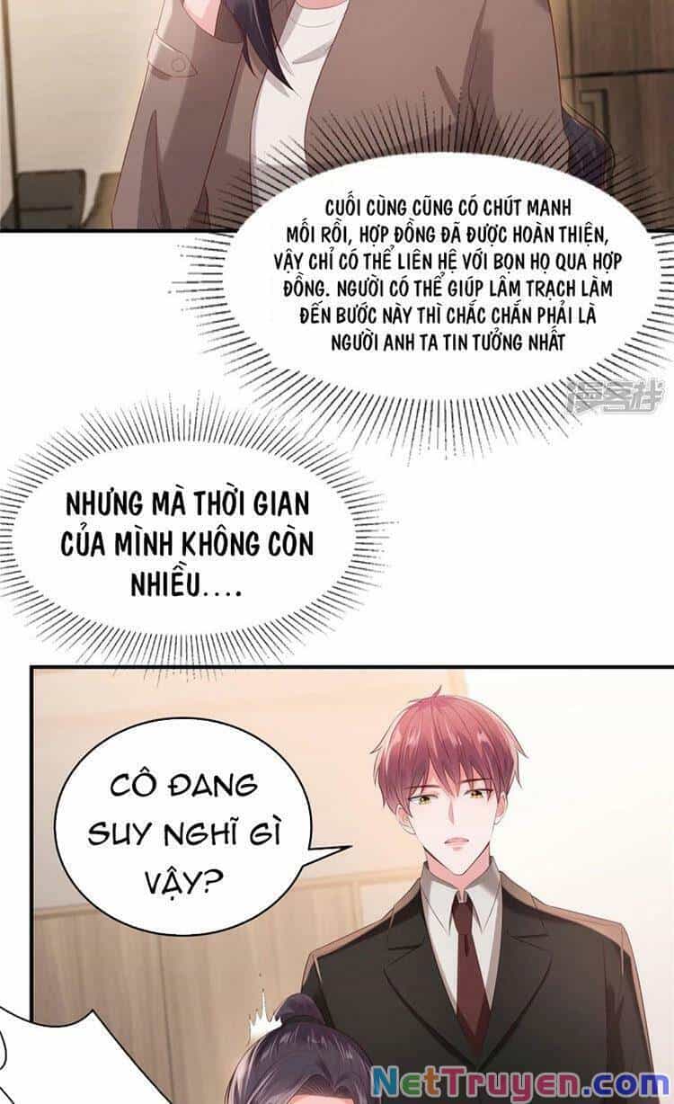 Trọng Sinh Trở Lại: Sủng Nịch Độc Nhất Vô Nhị - Chương 94 - ảnh 4