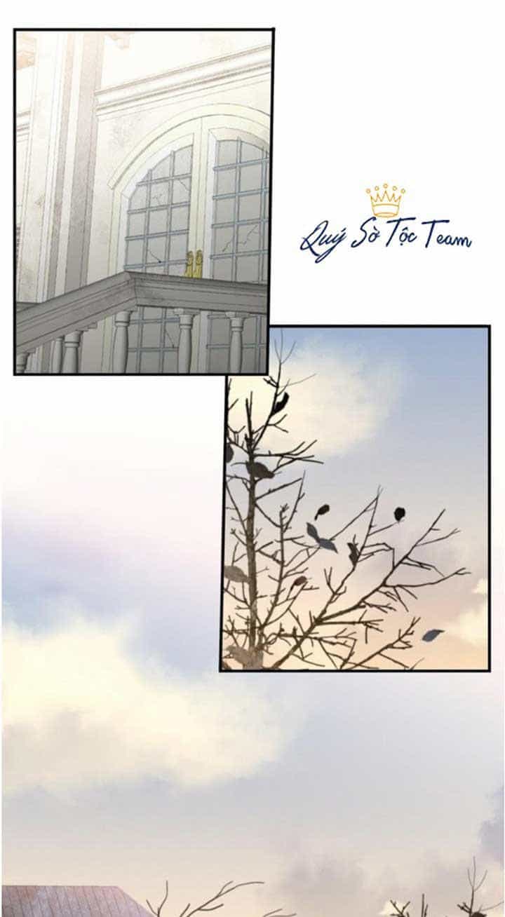 Trọng Sinh Trở Thành Hoàng Phi - Chương 21 - ảnh 12