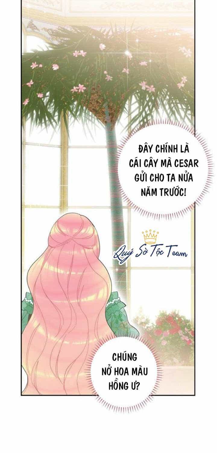 Trọng Sinh Trở Thành Hoàng Phi - Chương 24 - ảnh 13