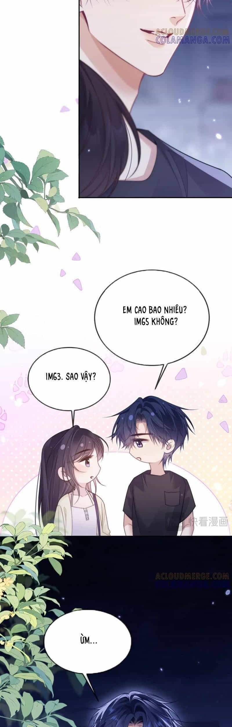 Trọng Sinh Trong Vòng Tay Anh - Chương 24 - ảnh 9