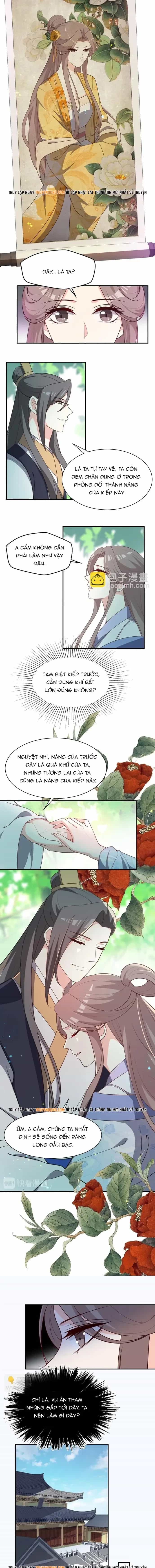 Trùng Sinh Chuyên Sủng Độc Phi Của Nhiếp Chính Vương - Chương 119 - ảnh 5