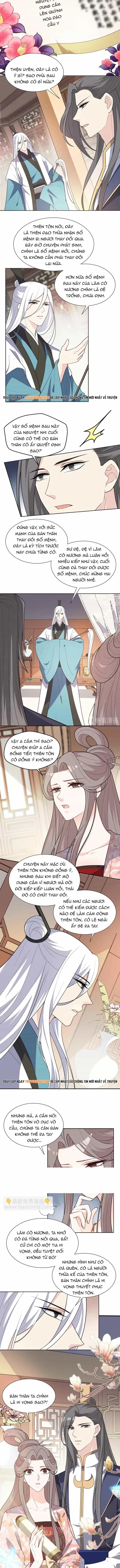 Trùng Sinh Chuyên Sủng Độc Phi Của Nhiếp Chính Vương - Chương 140 - ảnh 3