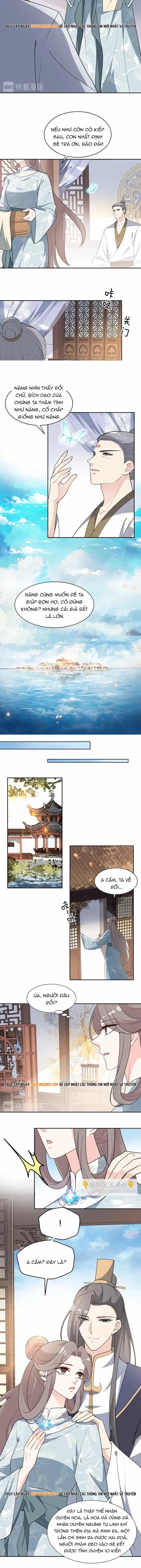 Trùng Sinh Chuyên Sủng Độc Phi Của Nhiếp Chính Vương - Chương 142 - ảnh 4