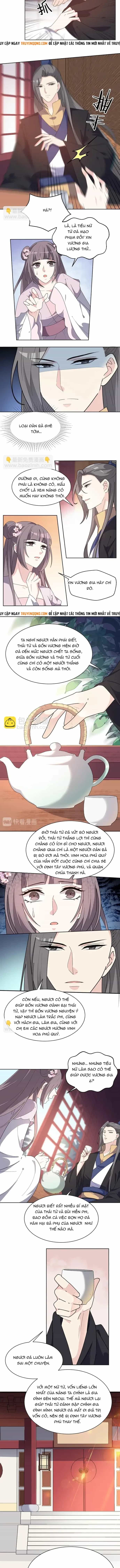 Trùng Sinh Chuyên Sủng Độc Phi Của Nhiếp Chính Vương - Chương 161 - ảnh 2