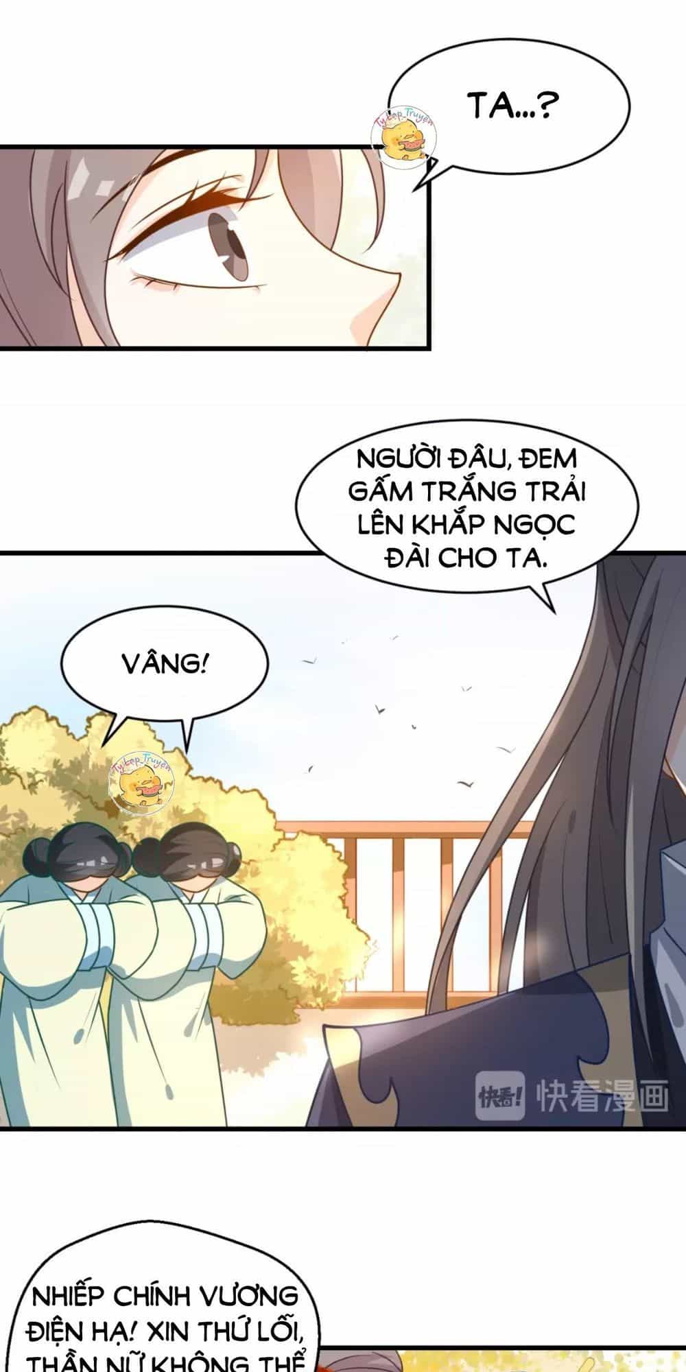 Trùng Sinh Chuyên Sủng Độc Phi Của Nhiếp Chính Vương - Chương 19 - ảnh 11