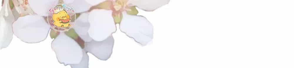 Trùng Sinh Chuyên Sủng Độc Phi Của Nhiếp Chính Vương - Chương 34 - ảnh 15