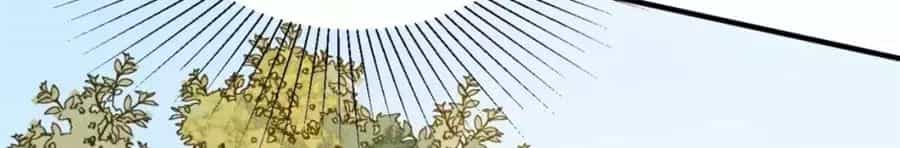 Trùng Sinh Chuyên Sủng Độc Phi Của Nhiếp Chính Vương - Chương 35 - ảnh 15