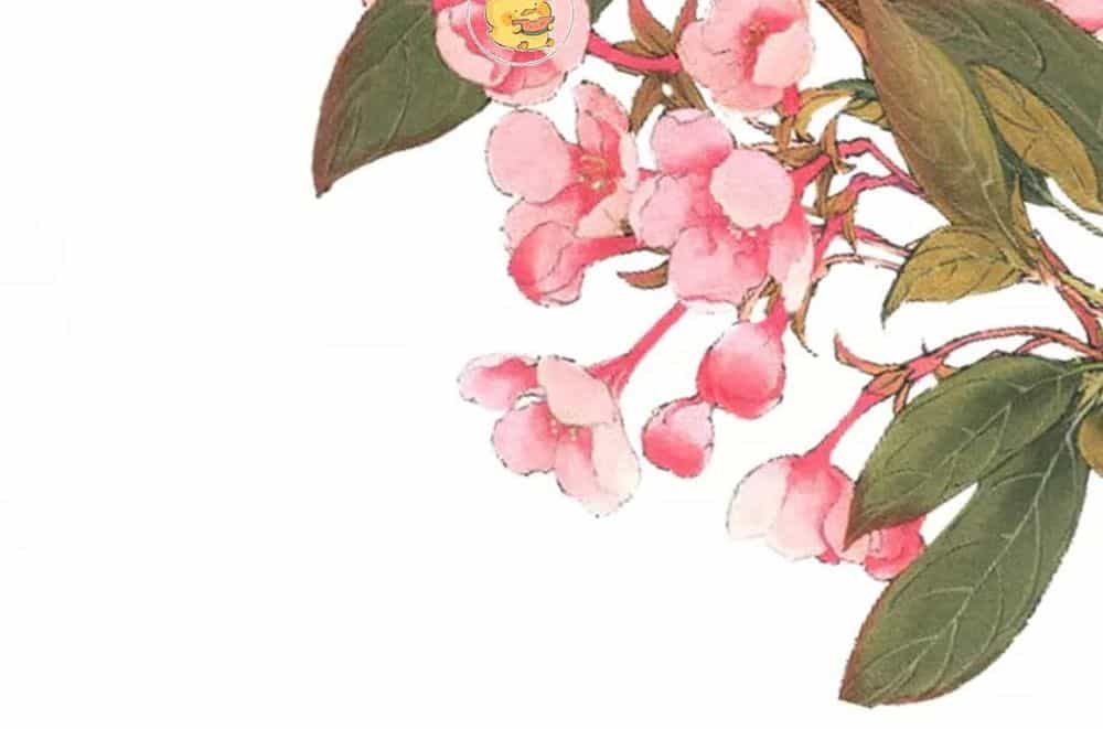 Trùng Sinh Chuyên Sủng Độc Phi Của Nhiếp Chính Vương - Chương 37 - ảnh 41