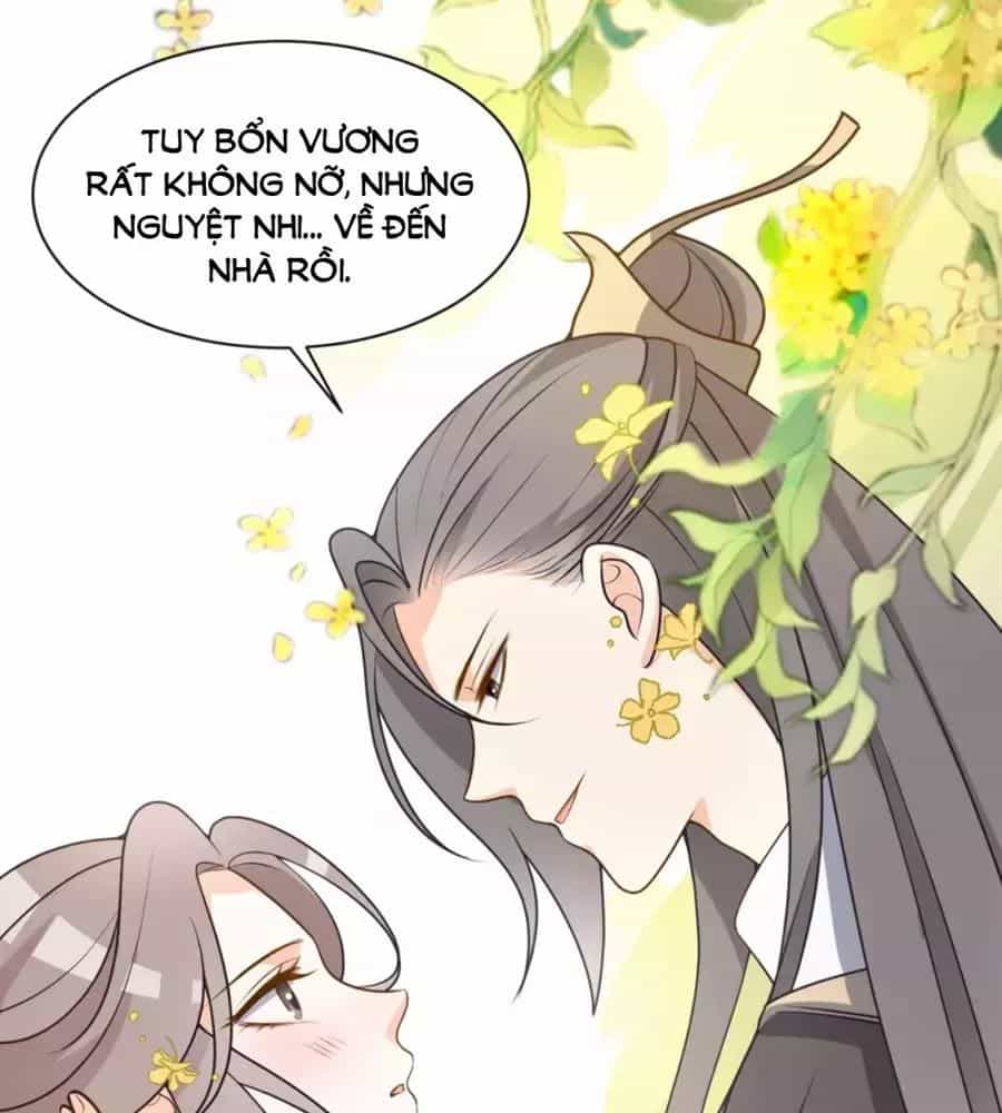 Trùng Sinh Chuyên Sủng Độc Phi Của Nhiếp Chính Vương - Chương 42 - ảnh 45