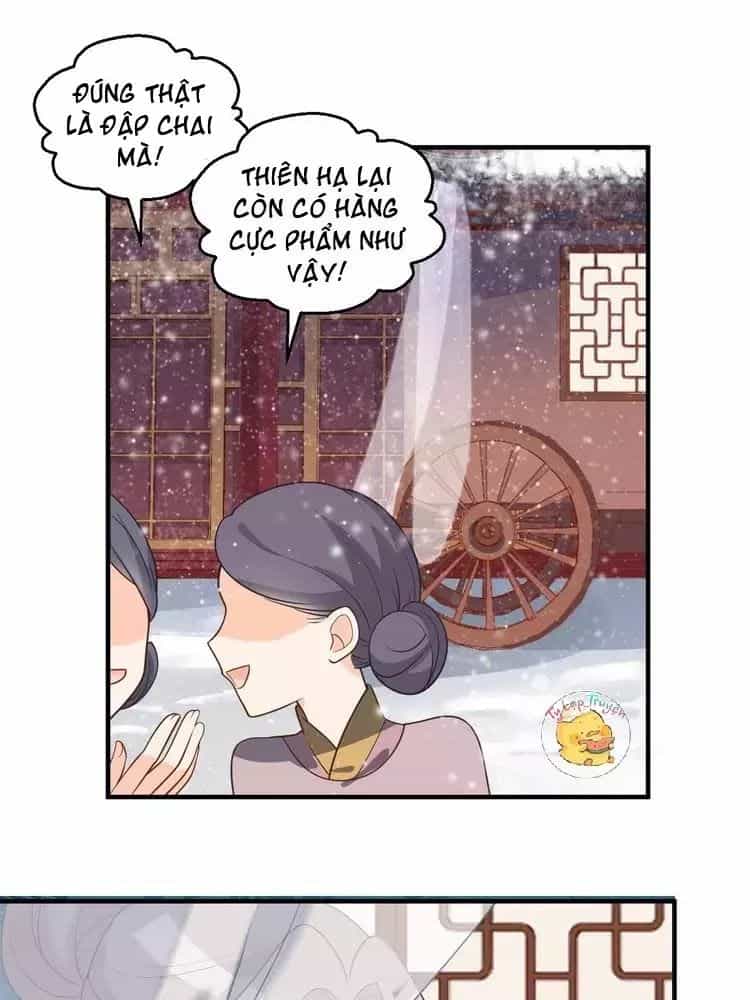 Trùng Sinh Chuyên Sủng Độc Phi Của Nhiếp Chính Vương - Chương 48 - ảnh 49