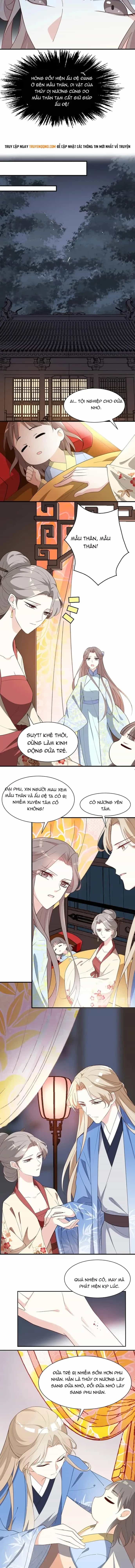 Trùng Sinh Chuyên Sủng Độc Phi Của Nhiếp Chính Vương - Chương 66 - ảnh 3