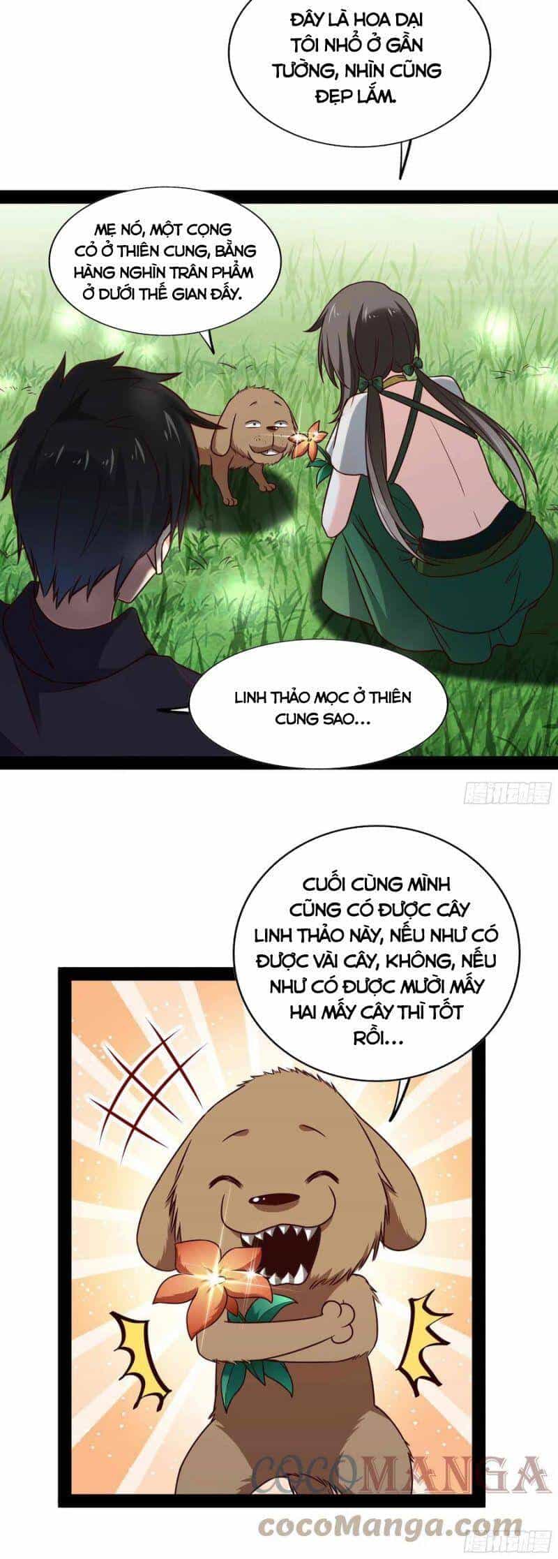 Trùng Sinh Đô Thị Thiên Tôn - Chương 297 - ảnh 17