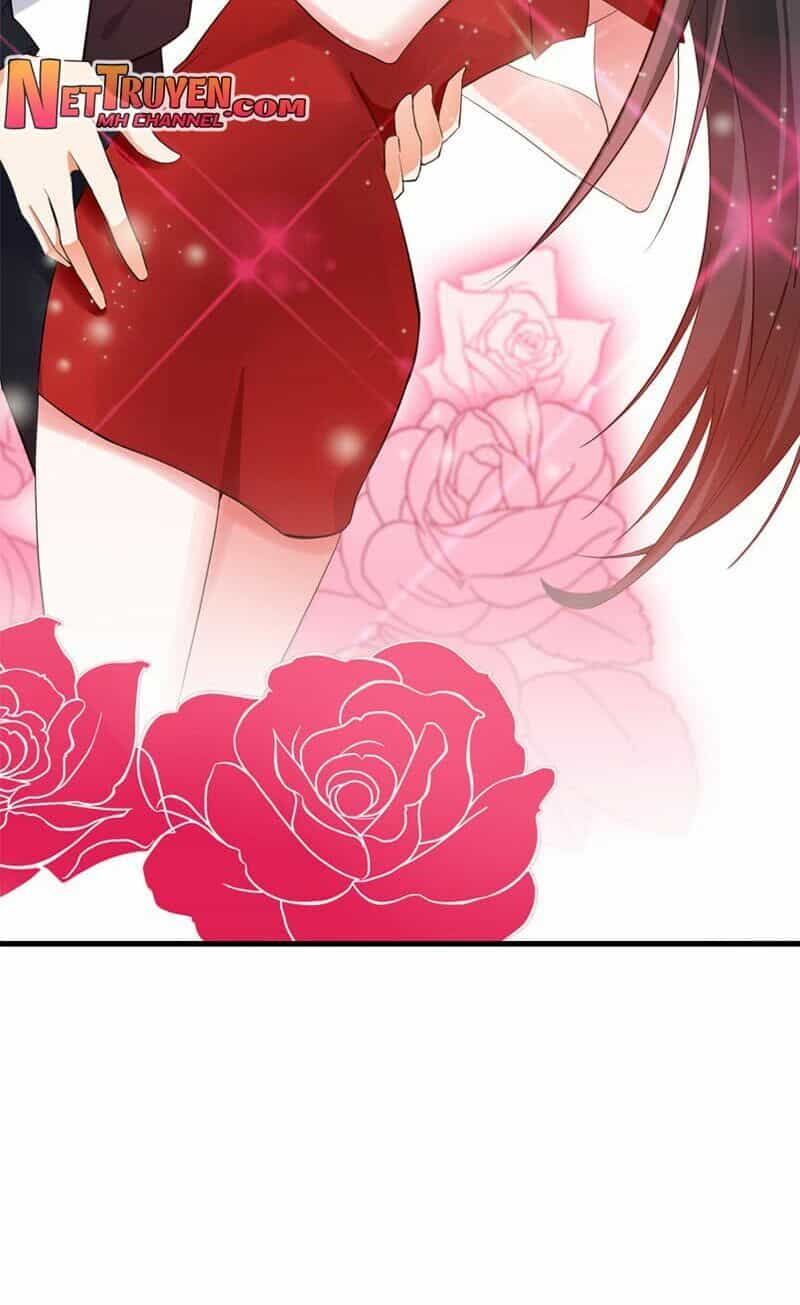 Trùng Sinh Không Gian: Cô Vợ Hào Môn Nóng Bỏng Không Dễ Chọc - Chương 0 - ảnh 22
