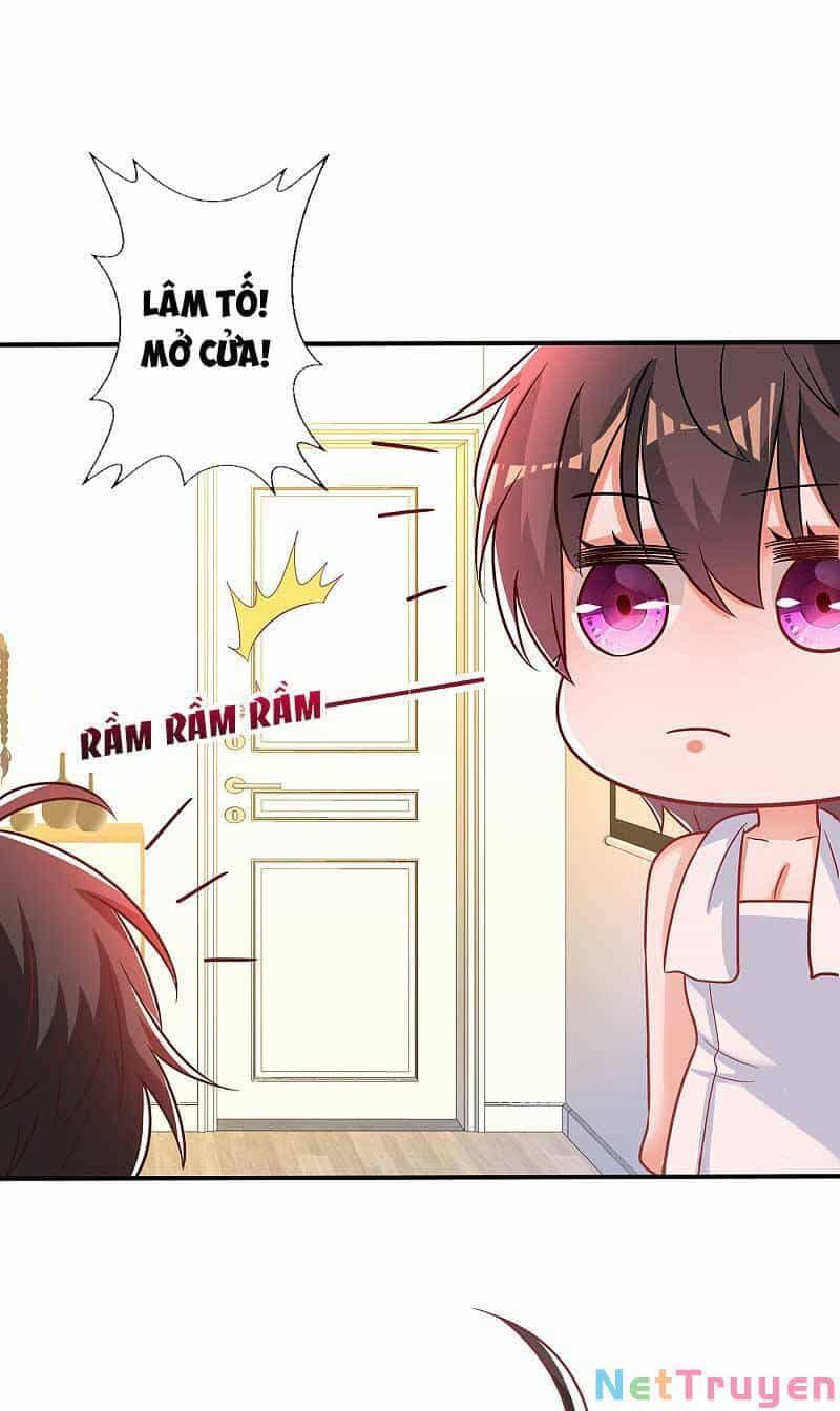 Trùng Sinh Không Gian: Cô Vợ Hào Môn Nóng Bỏng Không Dễ Chọc - Chương 91 - ảnh 9