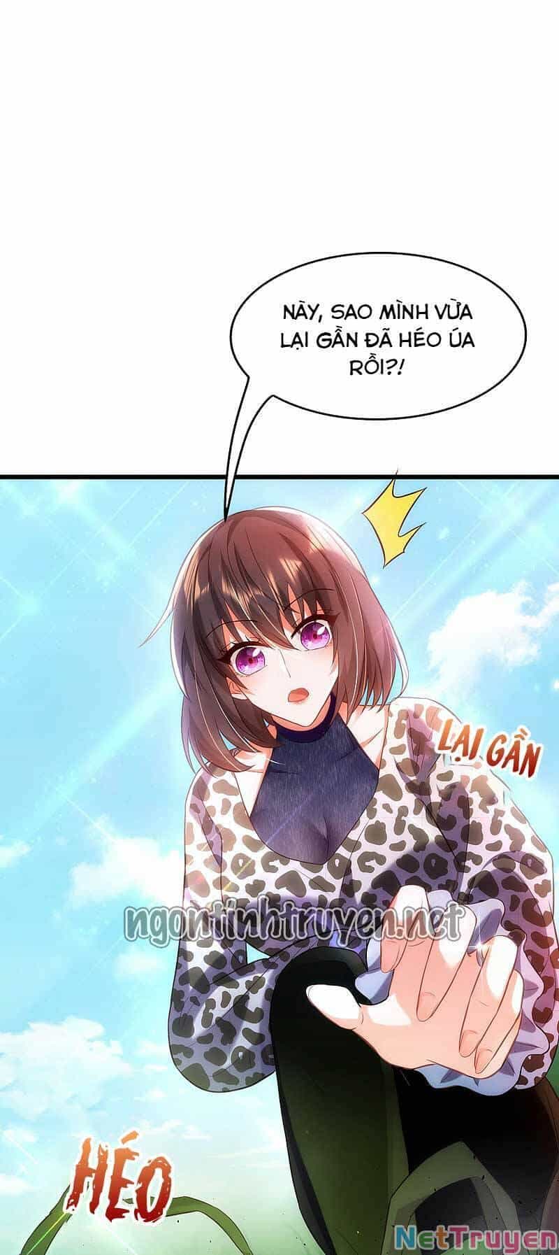 Trùng Sinh Không Gian: Cô Vợ Hào Môn Nóng Bỏng Không Dễ Chọc - Chương 108 - ảnh 25