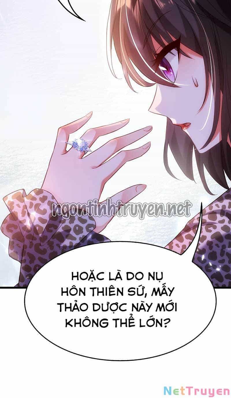 Trùng Sinh Không Gian: Cô Vợ Hào Môn Nóng Bỏng Không Dễ Chọc - Chương 108 - ảnh 27