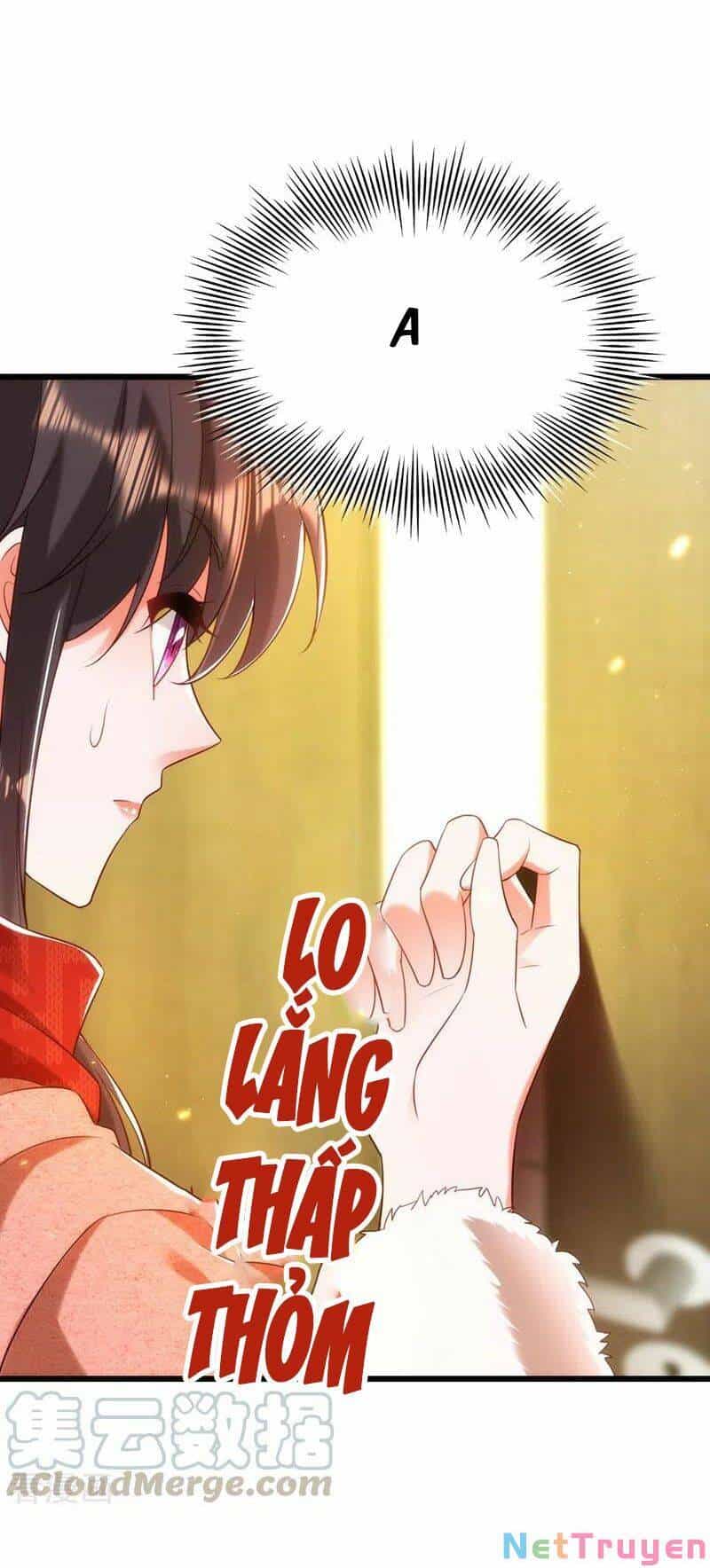 Trùng Sinh Không Gian: Cô Vợ Hào Môn Nóng Bỏng Không Dễ Chọc - Chương 161 - ảnh 5