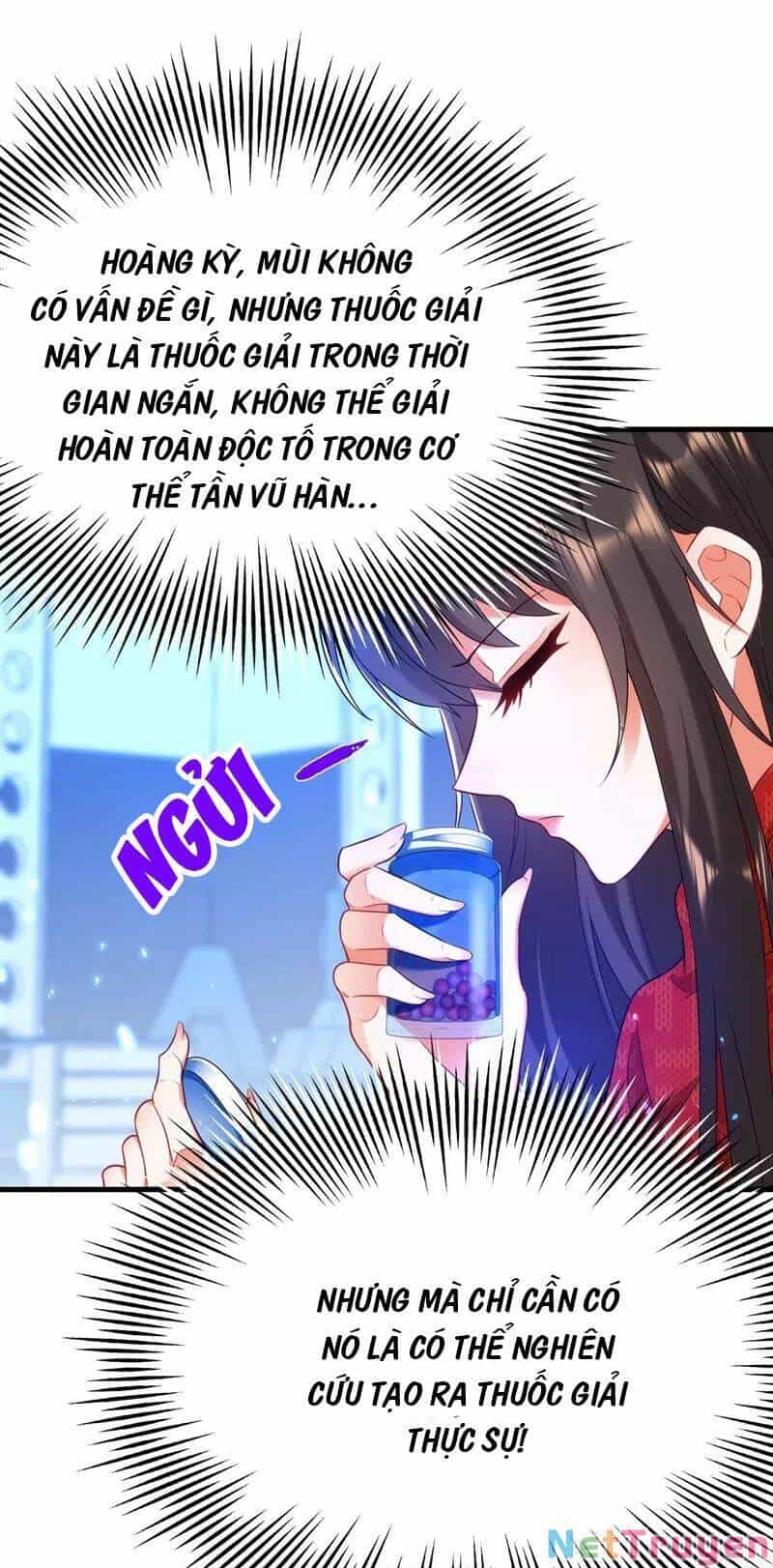 Trùng Sinh Không Gian: Cô Vợ Hào Môn Nóng Bỏng Không Dễ Chọc - Chương 163 - ảnh 21