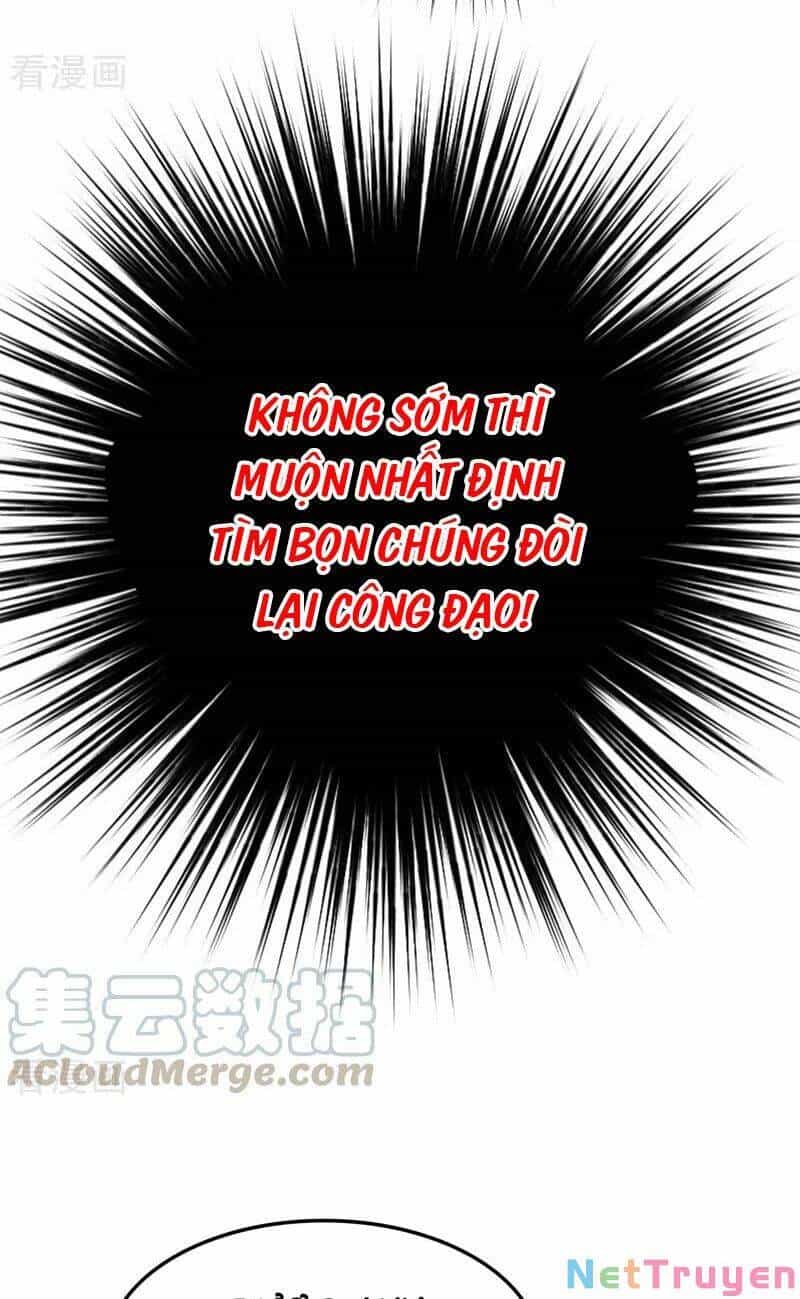 Trùng Sinh Không Gian: Cô Vợ Hào Môn Nóng Bỏng Không Dễ Chọc - Chương 165 - ảnh 19
