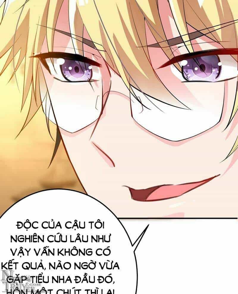 Trùng Sinh Không Gian: Cô Vợ Hào Môn Nóng Bỏng Không Dễ Chọc - Chương 9 - ảnh 14