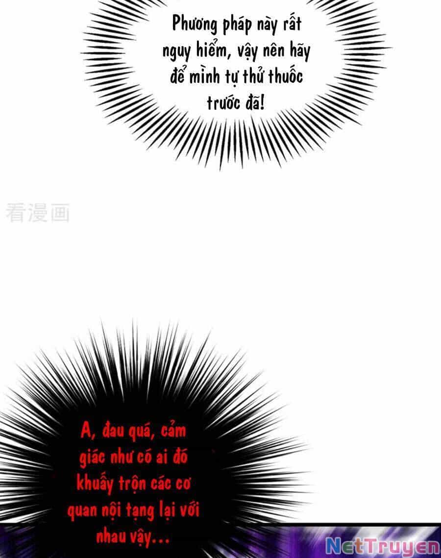 Trùng Sinh Không Gian: Cô Vợ Hào Môn Nóng Bỏng Không Dễ Chọc - Chương 171 - ảnh 21