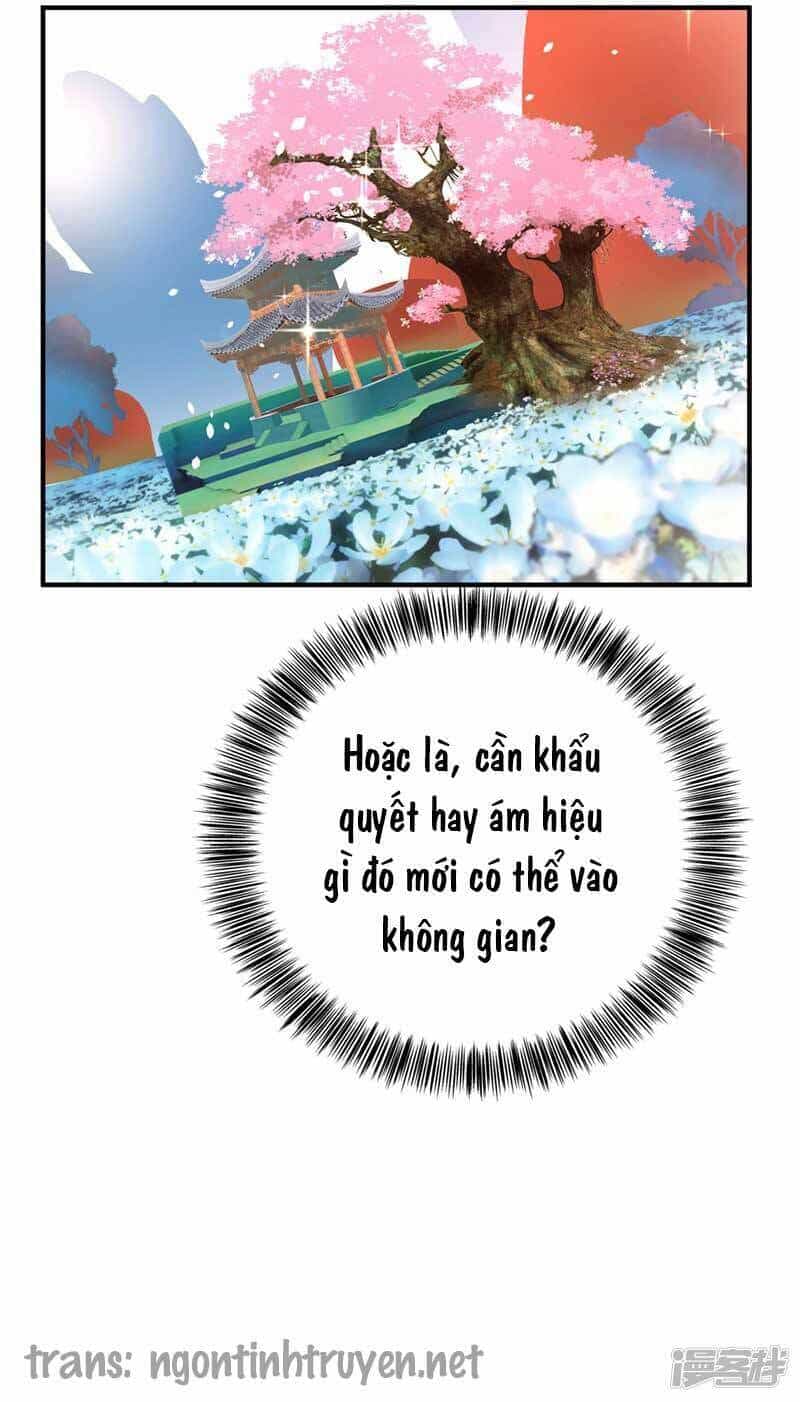 Trùng Sinh Không Gian: Cô Vợ Hào Môn Nóng Bỏng Không Dễ Chọc - Chương 16 - ảnh 3