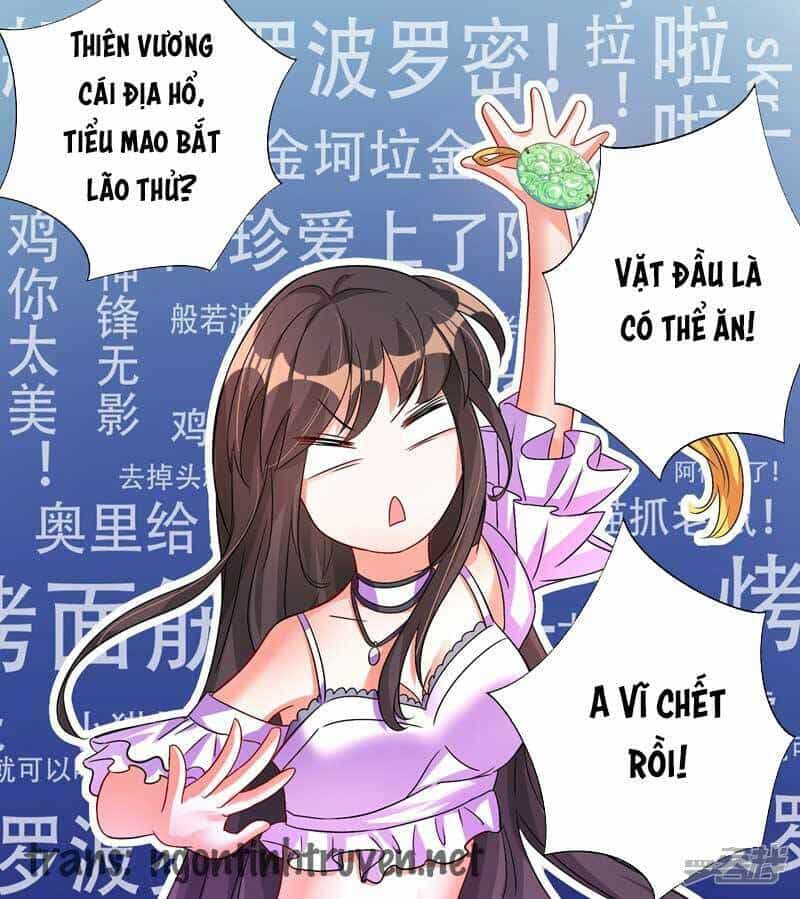 Trùng Sinh Không Gian: Cô Vợ Hào Môn Nóng Bỏng Không Dễ Chọc - Chương 16 - ảnh 5