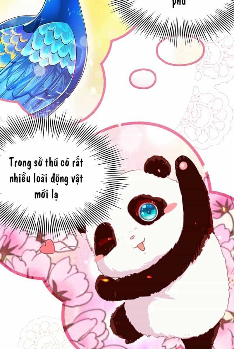 Trùng Sinh Không Gian: Cô Vợ Hào Môn Nóng Bỏng Không Dễ Chọc - Chương 54 - ảnh 42