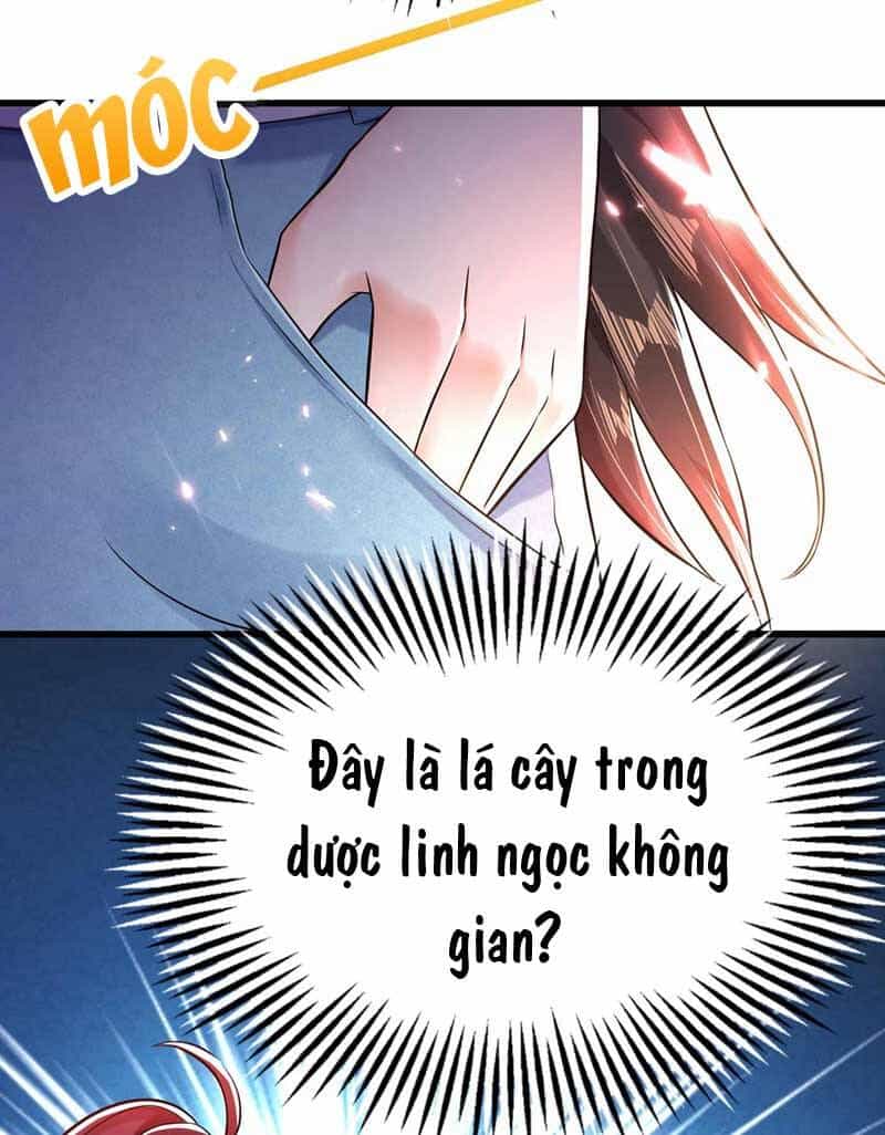 Trùng Sinh Không Gian: Cô Vợ Hào Môn Nóng Bỏng Không Dễ Chọc - Chương 57 - ảnh 14