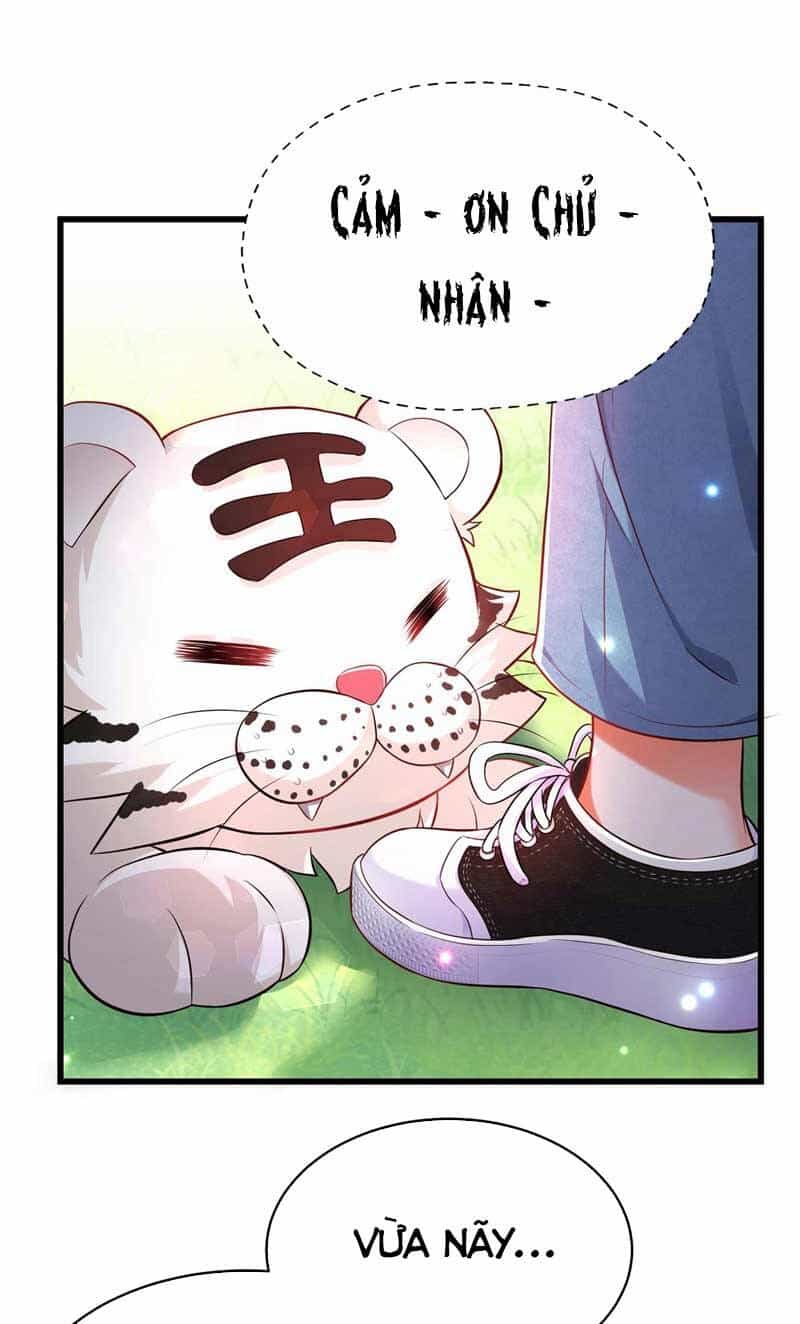Trùng Sinh Không Gian: Cô Vợ Hào Môn Nóng Bỏng Không Dễ Chọc - Chương 57 - ảnh 24