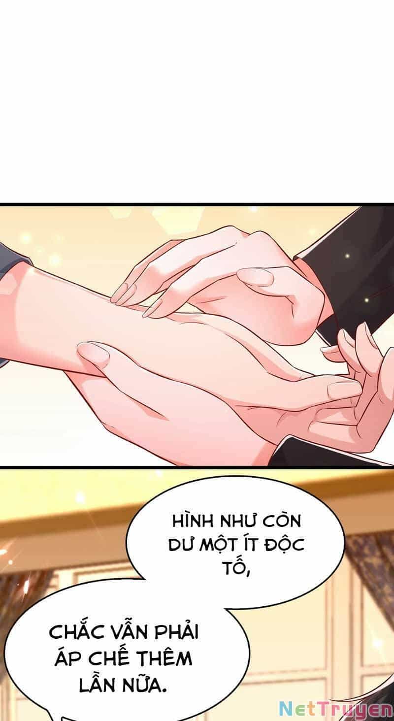 Trùng Sinh Không Gian: Cô Vợ Hào Môn Nóng Bỏng Không Dễ Chọc - Chương 72 - ảnh 18
