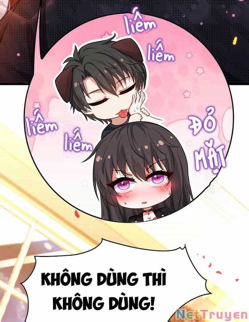 Trùng Sinh Không Gian: Cô Vợ Hào Môn Nóng Bỏng Không Dễ Chọc - Chương 73 - ảnh 11