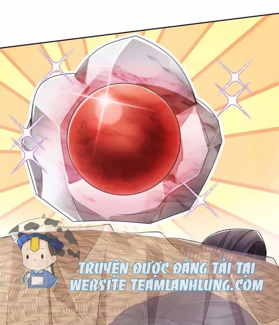 Trùng Sinh Sống Lại ! Các Hoàng Tử Ai Cũng Muốn Cưới Ta ! - Chương 12 - ảnh 31