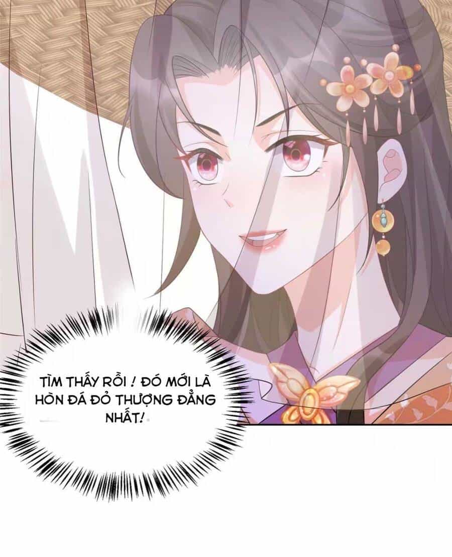 Trùng Sinh Sống Lại ! Các Hoàng Tử Ai Cũng Muốn Cưới Ta ! - Chương 12 - ảnh 32