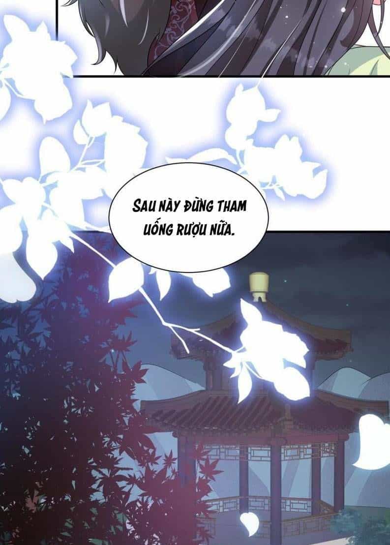 Trùng Sinh Sống Lại ! Các Hoàng Tử Ai Cũng Muốn Cưới Ta ! - Chương 68 - ảnh 27