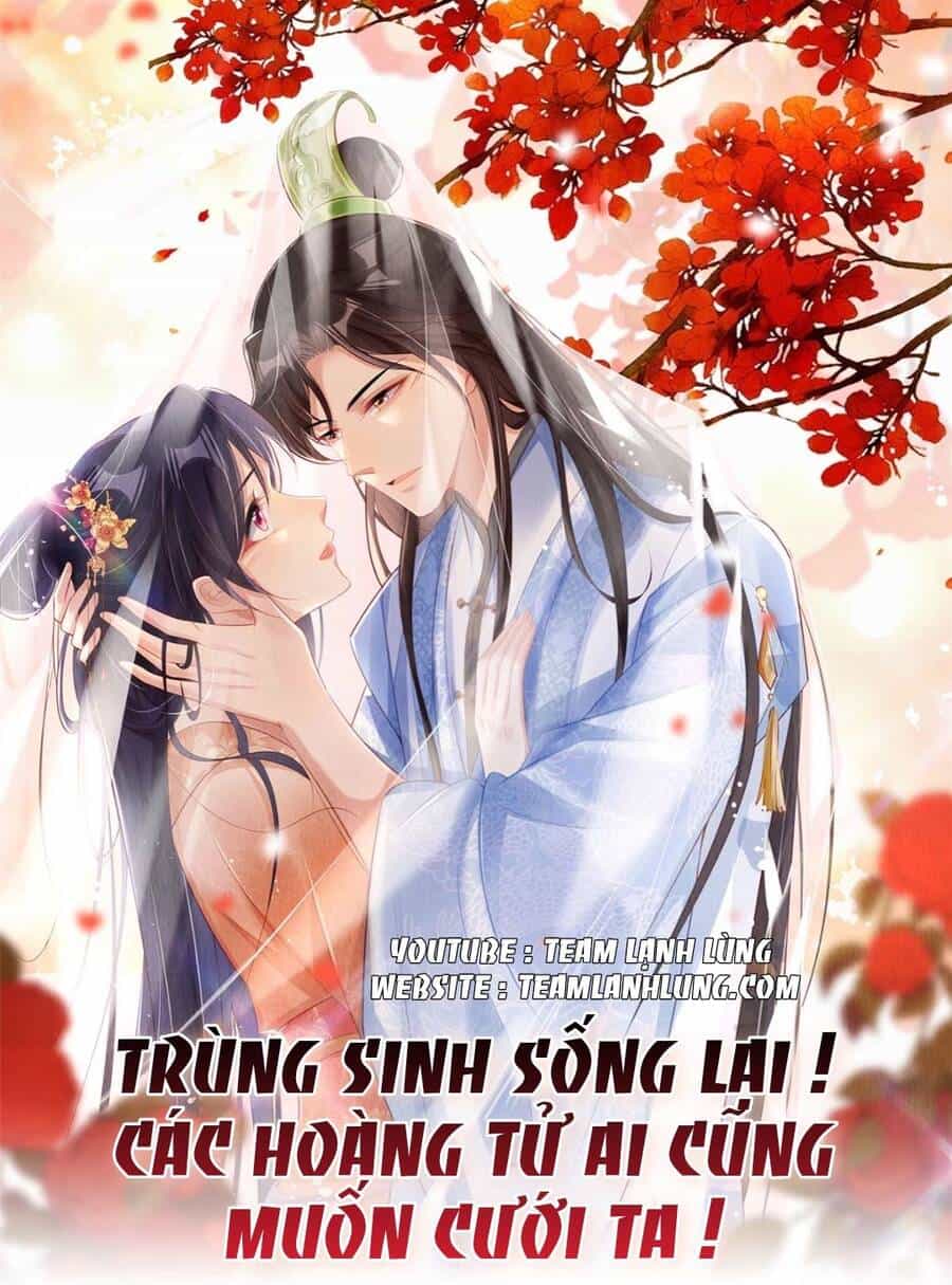 Trùng Sinh Sống Lại ! Các Hoàng Tử Ai Cũng Muốn Cưới Ta ! - Chương 8 - ảnh 2