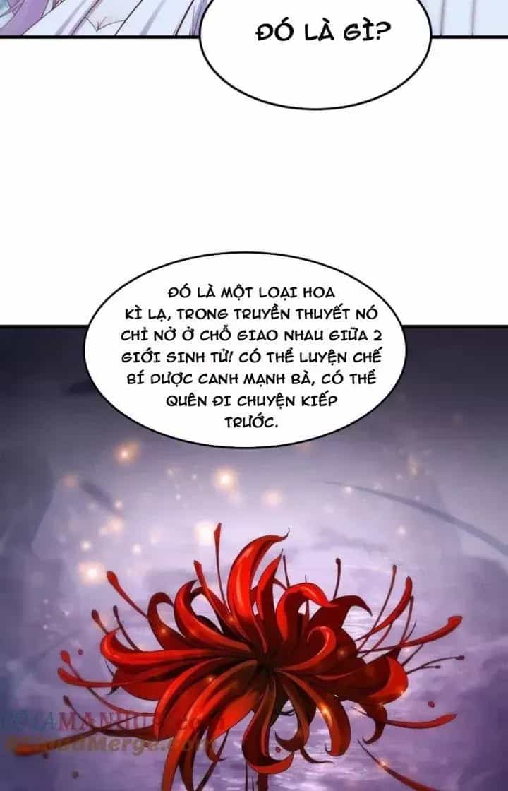 Trước Khi Vô Địch Ta Nợ Tình Quá Nhiều - Chương 115 - ảnh 17