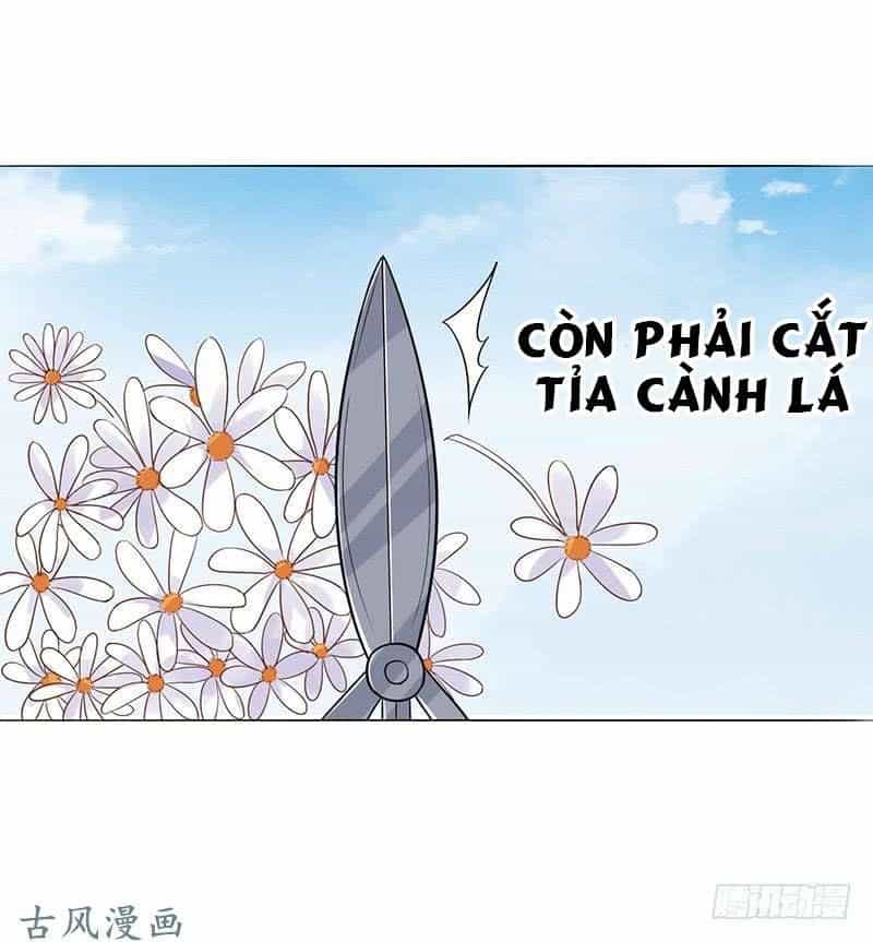Trường Học Thảo Yêu Hoa - Chương 49 - ảnh 49