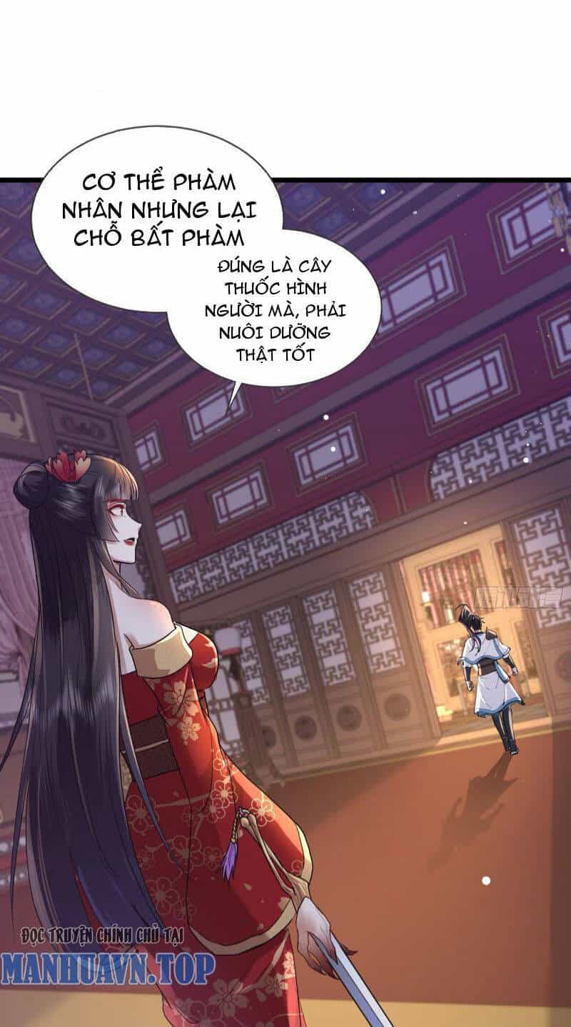 Trường Sinh Bất Tử Ta Chỉ Tu Cấm Thuật - Chương 4 - ảnh 5